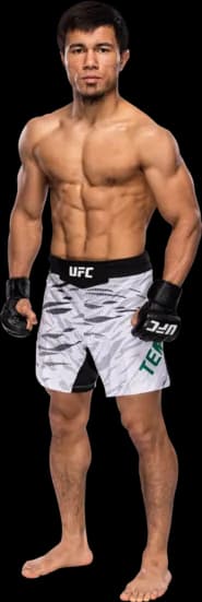 Ramazan Temirov, UFC 333